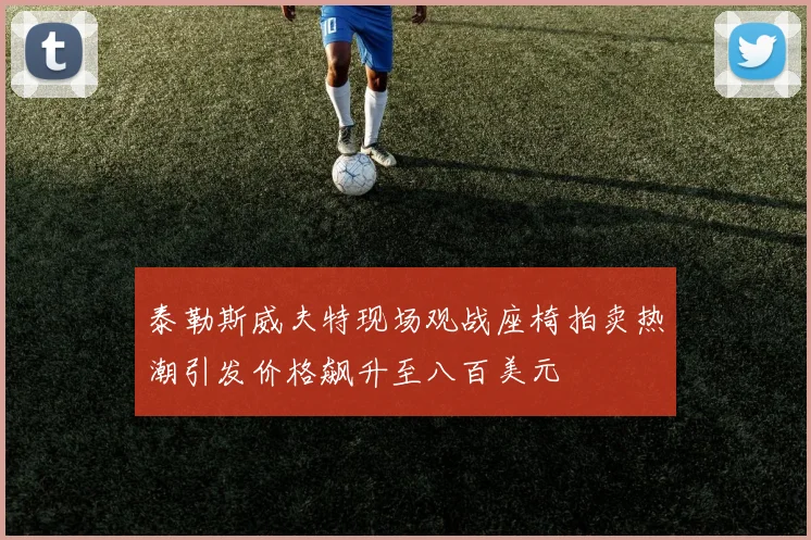 泰勒斯威夫特现场观战座椅拍卖热潮引发价格飙升至八百美元