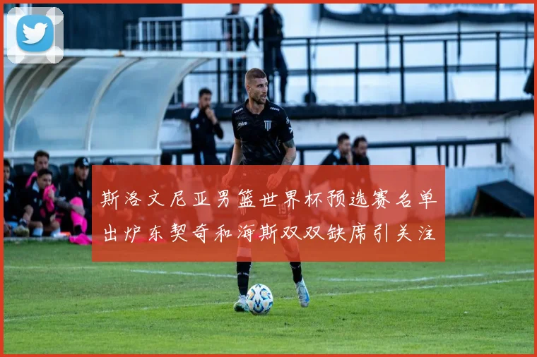 斯洛文尼亚男篮世界杯预选赛名单出炉东契奇和海斯双双缺席引关注